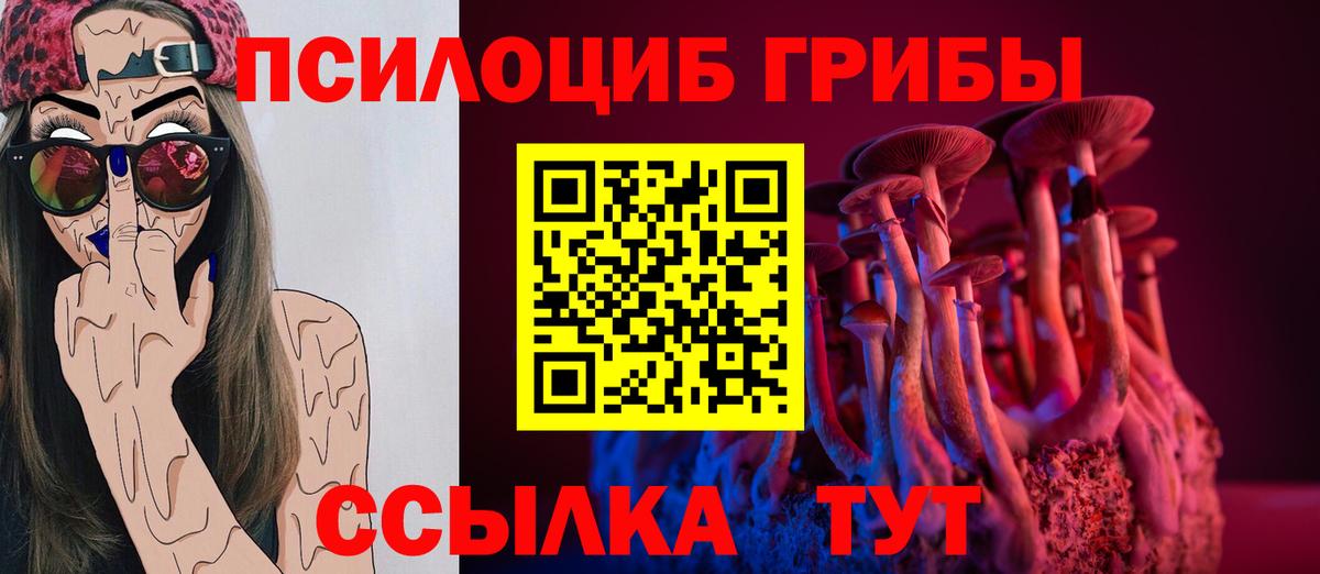 Галлюциногенные грибы Psilocybe  Псилоцибиновые грибы Cubensis  Лабинск  Вход с VPN 